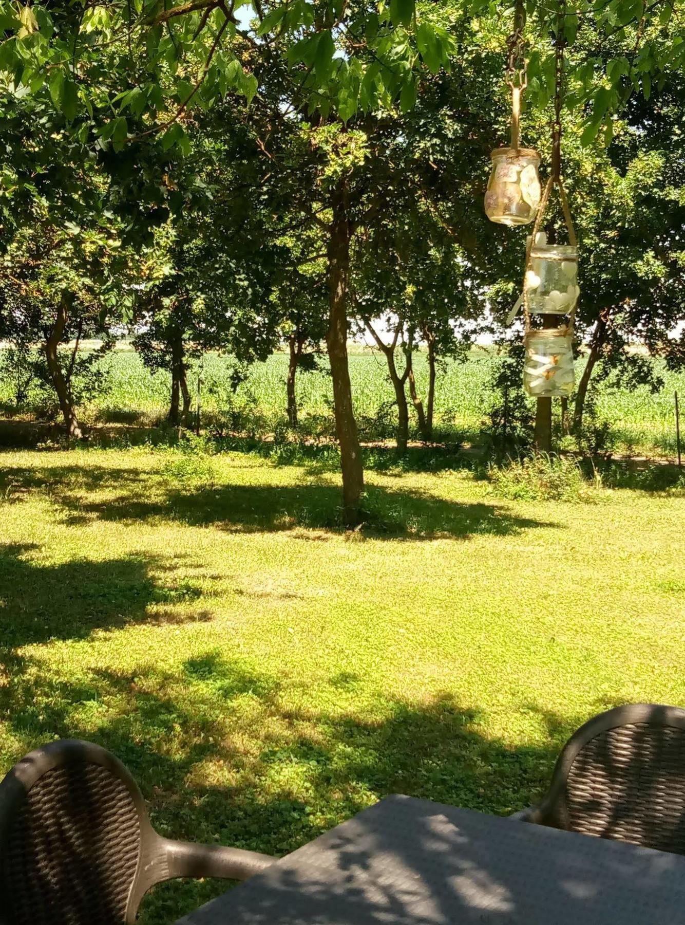 La Barchessa Country House Budrio  Buitenkant foto